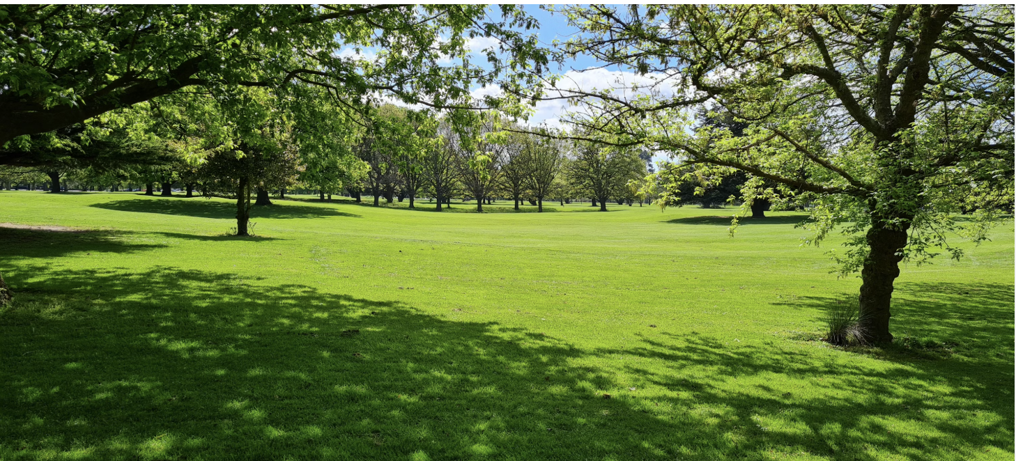 A sunlit park on an early afternoon — lawn dappled with shadow, trees in leaf